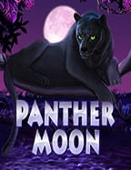 วิธีเล่น เเ อ พ joker ให้สนุกและได้เงิน