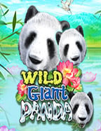 โอกาสทอง ฝาก 50 รับ 70 ทดลองเล่นฟรี!