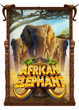 รหัส โบนัส dafabet ที่นักเดิมพันต้องรู้